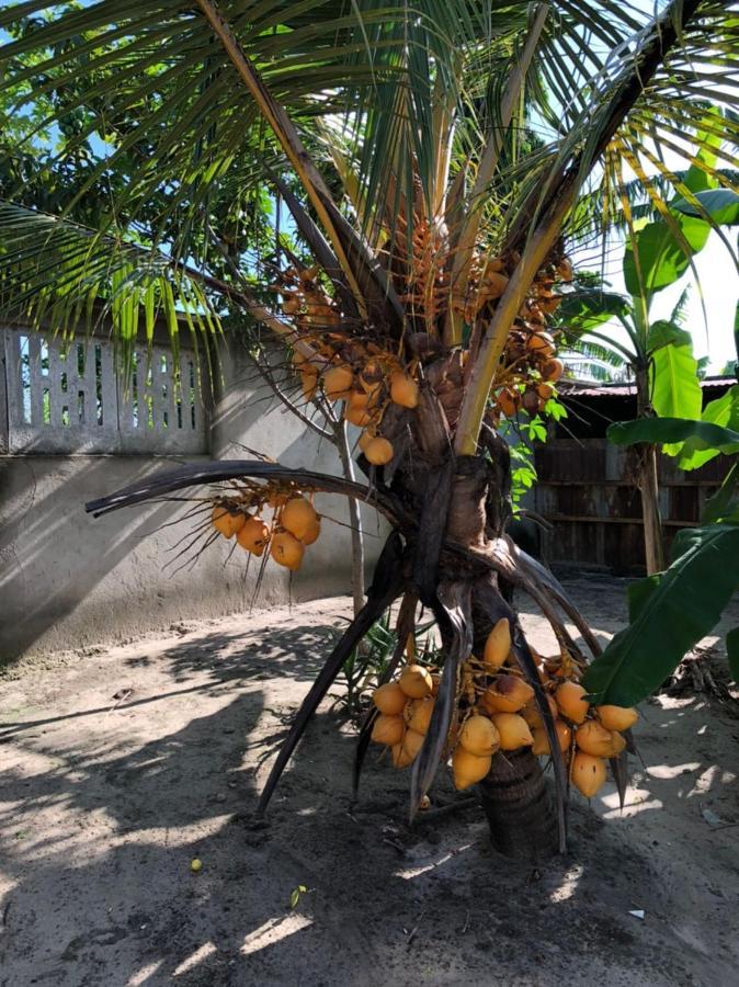 Beswahilid B & B Bagamoyo Exterior photo